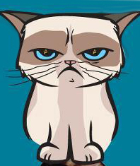 GrumpyCat Avatar.jpg