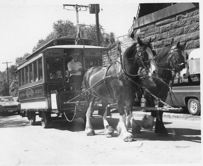 BSM-horse car 129 on Falls Rd., reopening-7-13-80, MRHL Coll..jpg