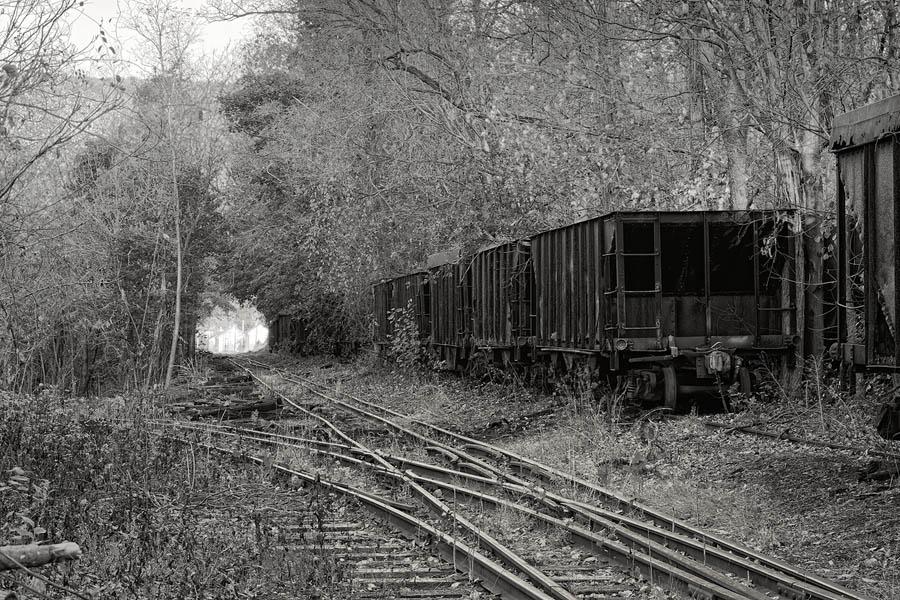 Hopper Line BW LR.jpg