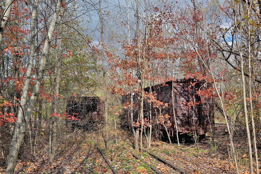 EBT Box Cars Woods Sun LR.jpg