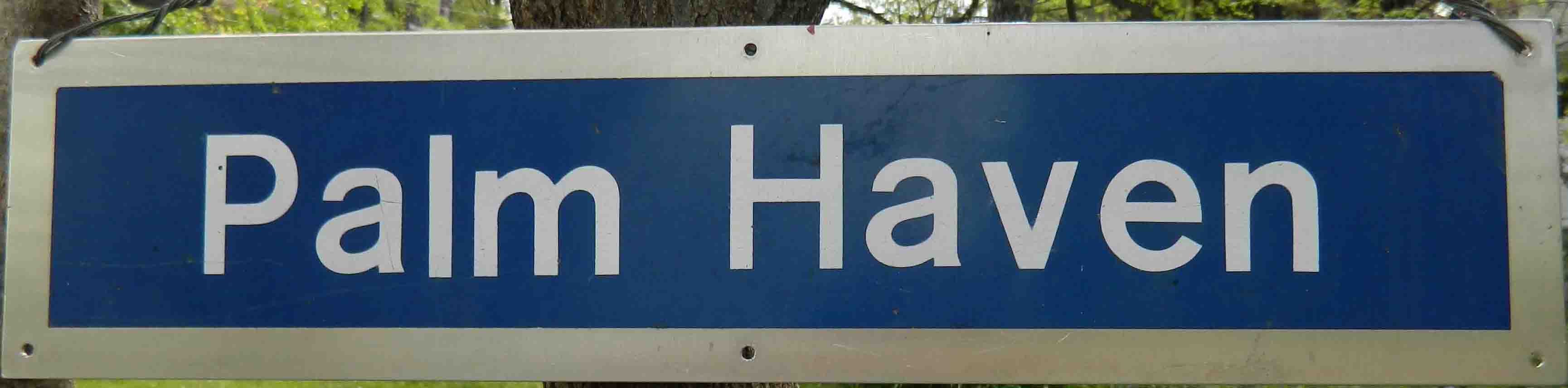Palm Haven sign-2_edited-1 copy.jpg