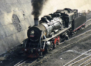 Click on image to enlarge. Photo by Sammy King.