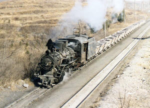 Click on image to enlarge. Photo by Sammy King.