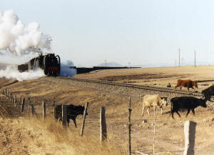 Click on image to enlarge. Photo by Sammy King.