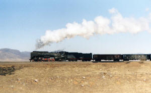 Click on image to enlarge. Photo by Sammy King.