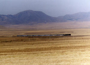 Click on image to enlarge. Photo by Sammy King.