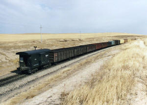 Click on image to enlarge. Photo by Sammy King.
