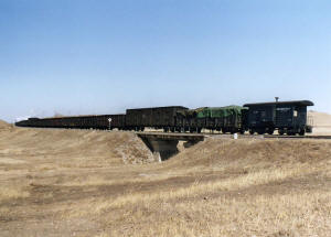 Click on image to enlarge. Photo by Sammy King.