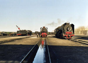 Click on image to enlarge. Photo by Sammy King.