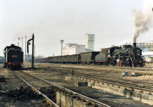 Click on image to enlarge. Photo by Sammy King.