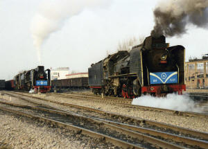 Click on image to enlarge. Photo by Sammy King.