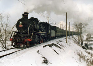 Click on image to enlarge. Photo by Sammy King.