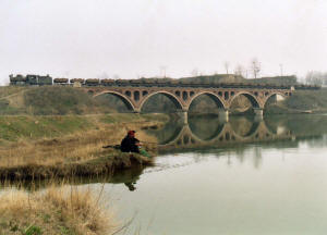 Click on image to enlarge. Photo by Sammy King.