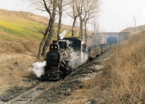Click on image to enlarge. Photo by Sammy King.