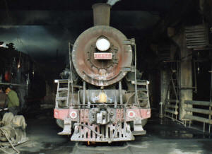 Click on image to enlarge. Photo by Sammy King.
