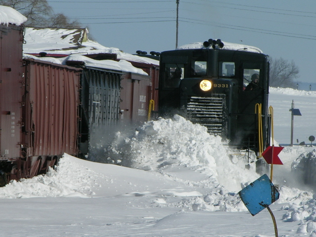 winter 8.jpg