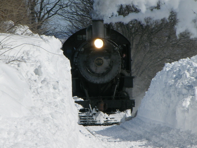 winter 3.jpg