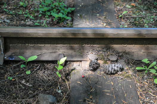 BCC_8547-3.jpg