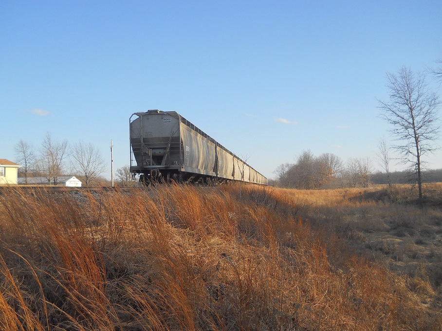 January springlike day 1-21-17 005.JPG