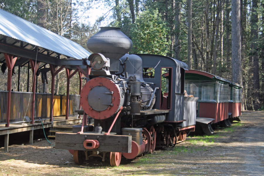 NCTC0012.JPG