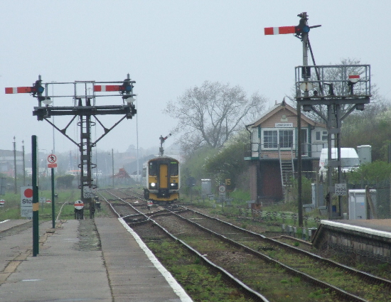 DSCF2217.JPG