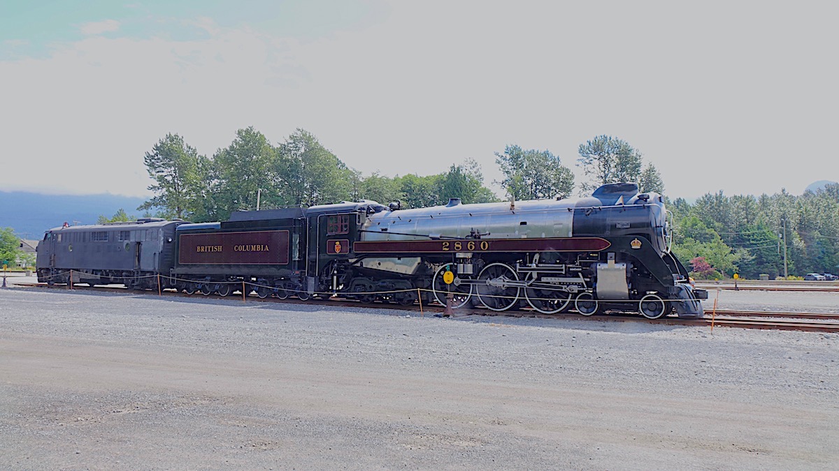 DSC04711.jpg