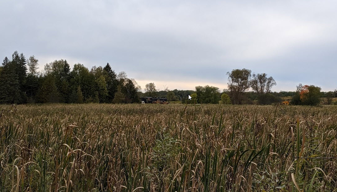 2019-09-30_10-09-59.jpg