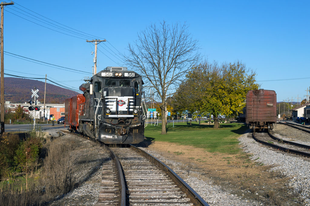 561_x29__sm_2.jpg