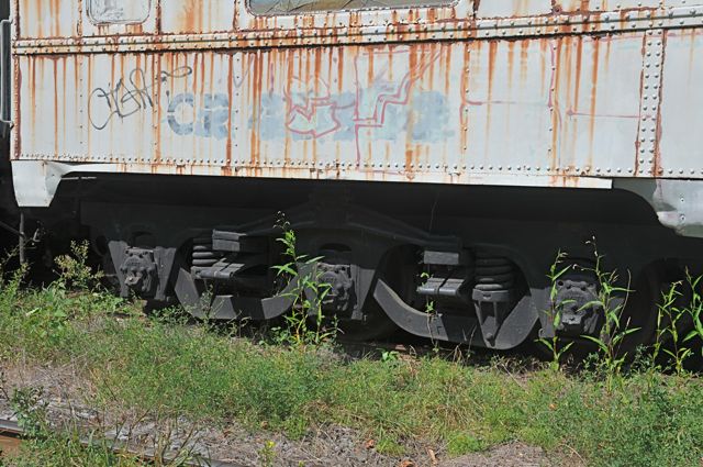 RWJ_6207.jpg