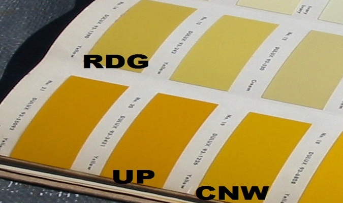 pg7yellowscloseup.jpg