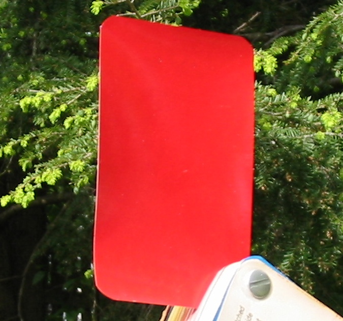 we5868.jpg