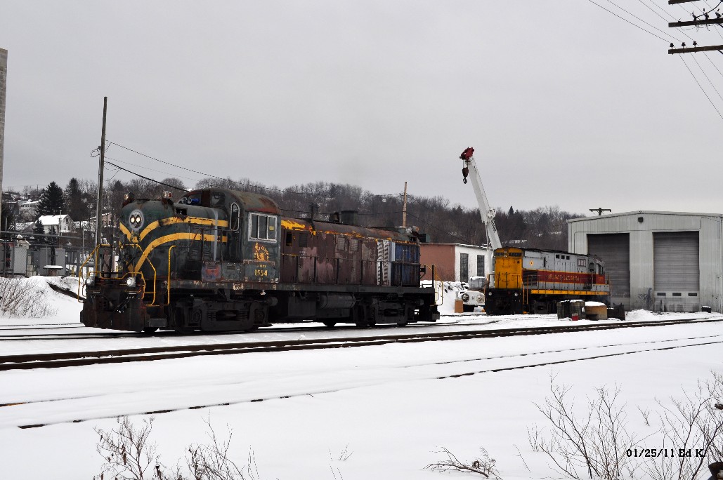 RR DL LS 01-25-11 002.jpg