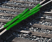Frog-1-Green.jpg
