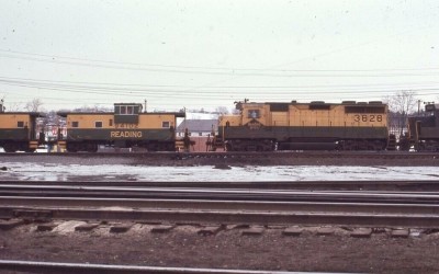 rdg3626.jpg