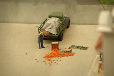 Spilled apricots.jpg