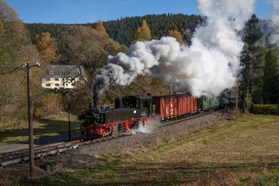Deutsche Reichsbahn 99 1568-7 departing Schmalzgrube.jpg