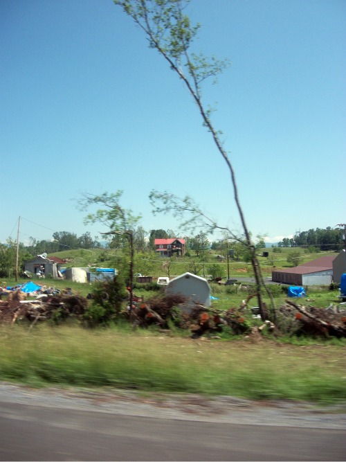 100_1347.jpg
