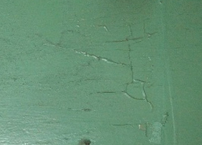 pullmantroopcarpaintridging.jpg