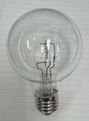 bulb image.jpg
