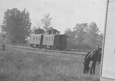 horse and cabeese.jpg