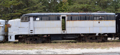 DSC_5579.JPG