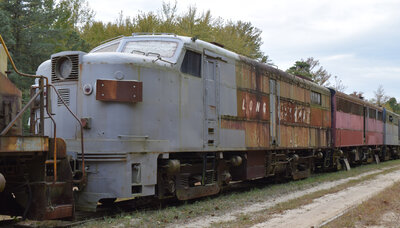 DSC_5556.jpg