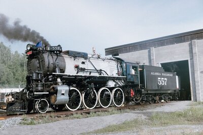 temp rosie-photo-video t-35 reduced.jpg