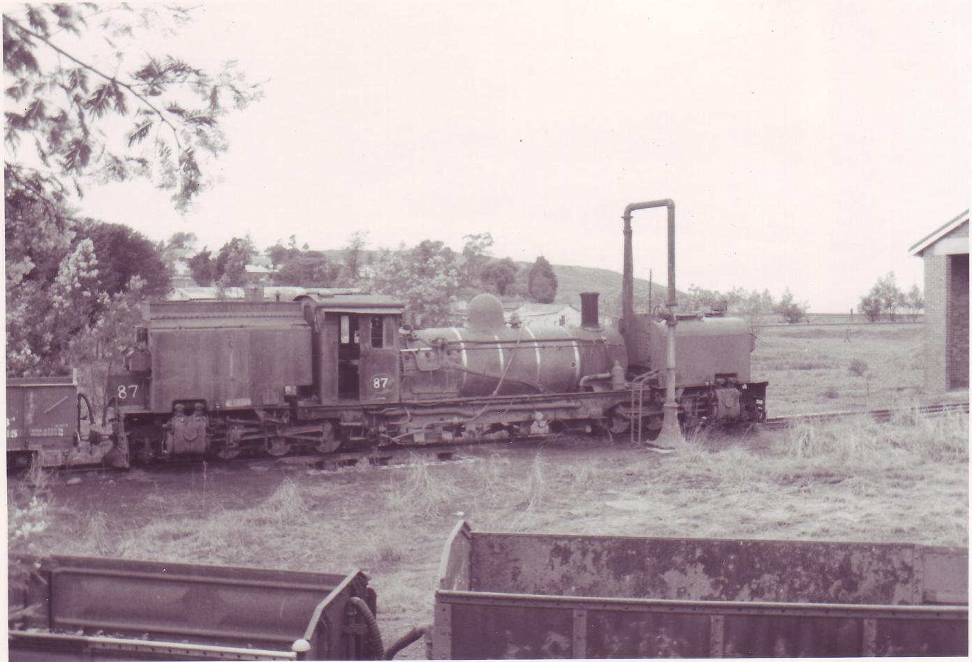 87.jpg