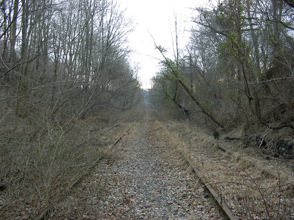 bethlehem_branch_2002_around_bingen.jpg