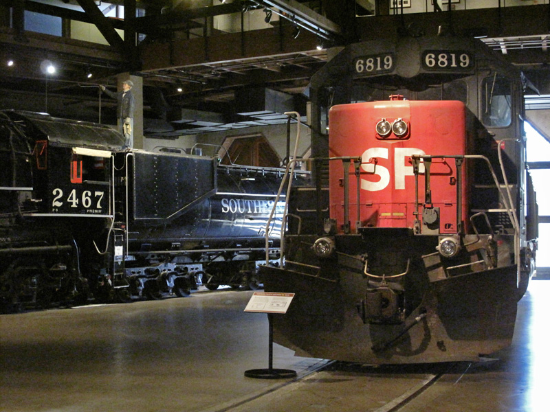 SP6819.jpg