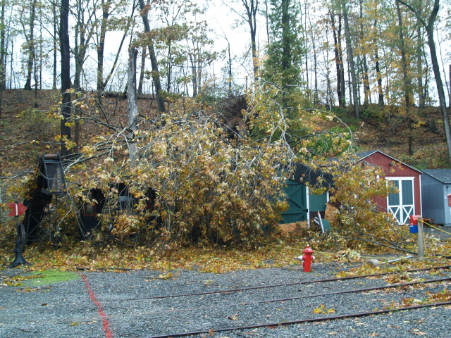 Sandy 3.jpg