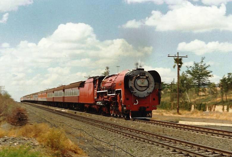 Red Devil Kimberley.jpg