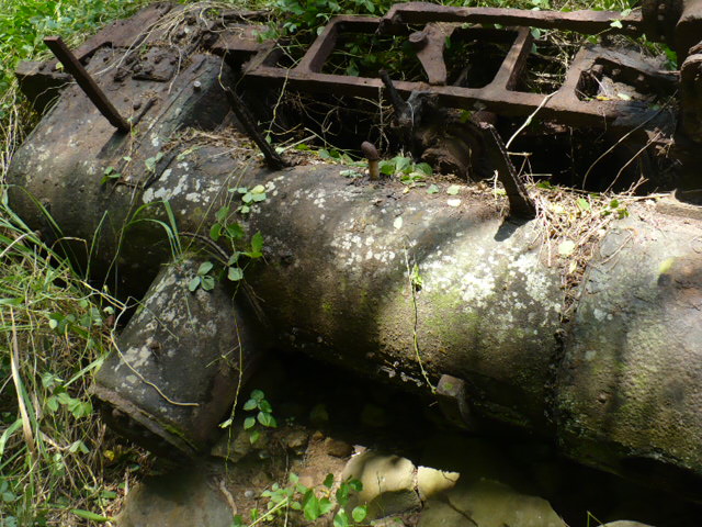 P1040003.JPG