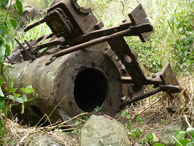 P1040063.JPG
